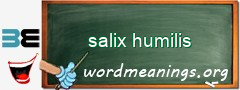 WordMeaning blackboard for salix humilis